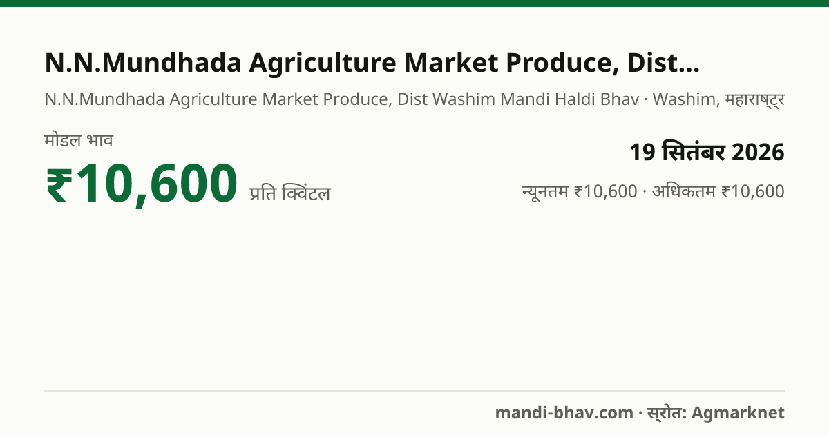 N.N.Mundhada Agriculture Market Produce, Dist Washim मंडी में हल्दी का भाव 19 सितंबर 2026: मोडल ₹10,600 प्रति क्विंटल, भाव के रुझान का चार्ट
