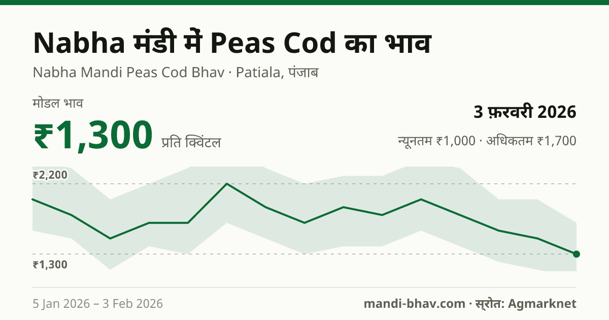 Nabha मंडी में Peas Cod का भाव 3 फ़रवरी 2026: मोडल ₹1,300 प्रति क्विंटल, भाव के रुझान का चार्ट