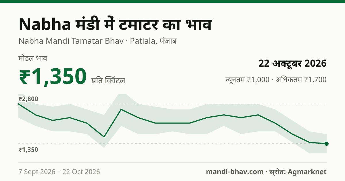 Nabha मंडी में टमाटर का भाव 22 अक्टूबर 2026: मोडल ₹1,350 प्रति क्विंटल, भाव के रुझान का चार्ट