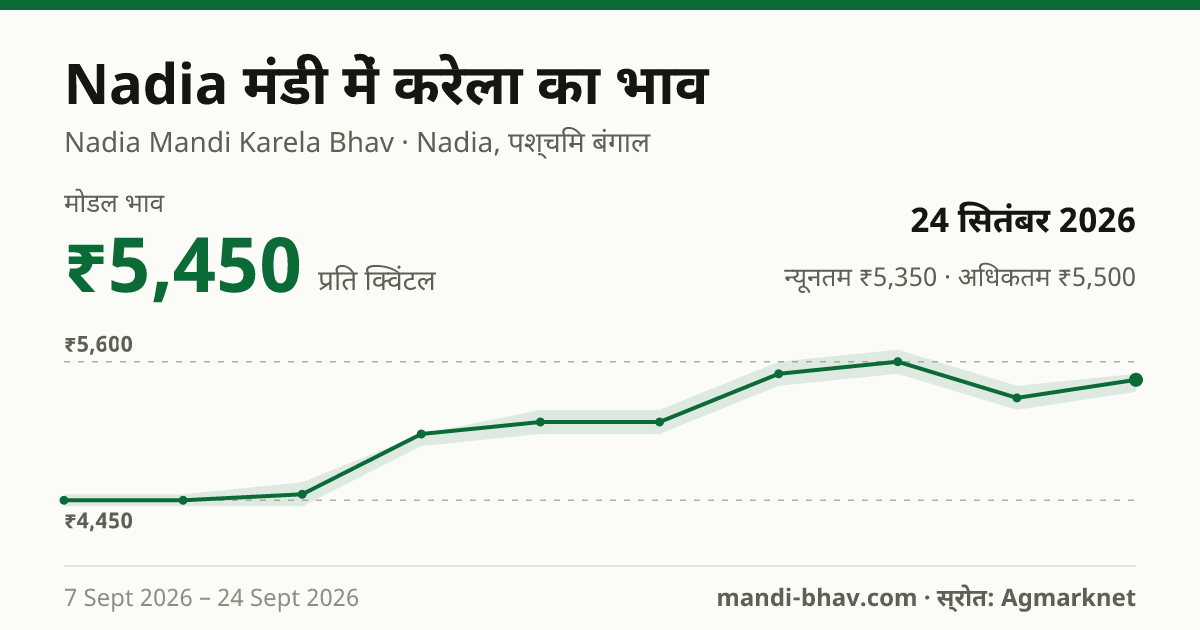 Nadia मंडी में करेला का भाव 24 सितंबर 2026: मोडल ₹5,450 प्रति क्विंटल, भाव के रुझान का चार्ट