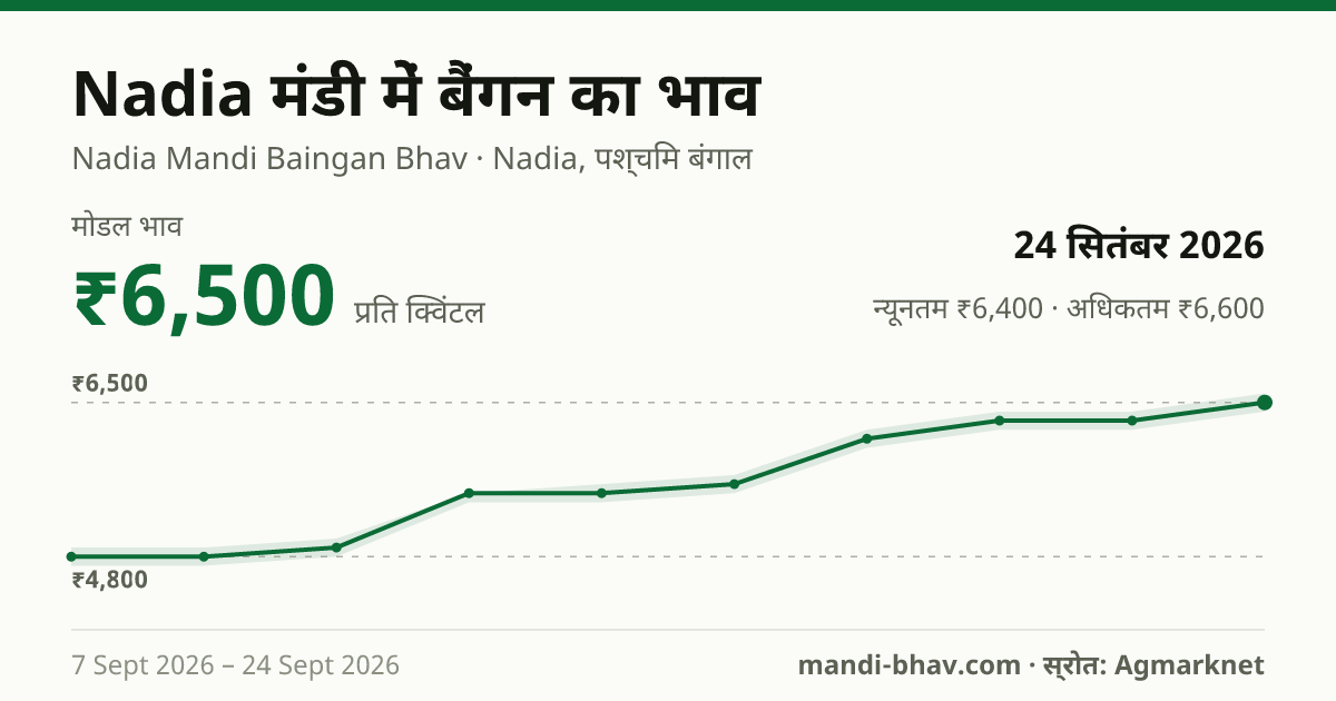 Nadia मंडी में बैंगन का भाव 24 सितंबर 2026: मोडल ₹6,500 प्रति क्विंटल, भाव के रुझान का चार्ट