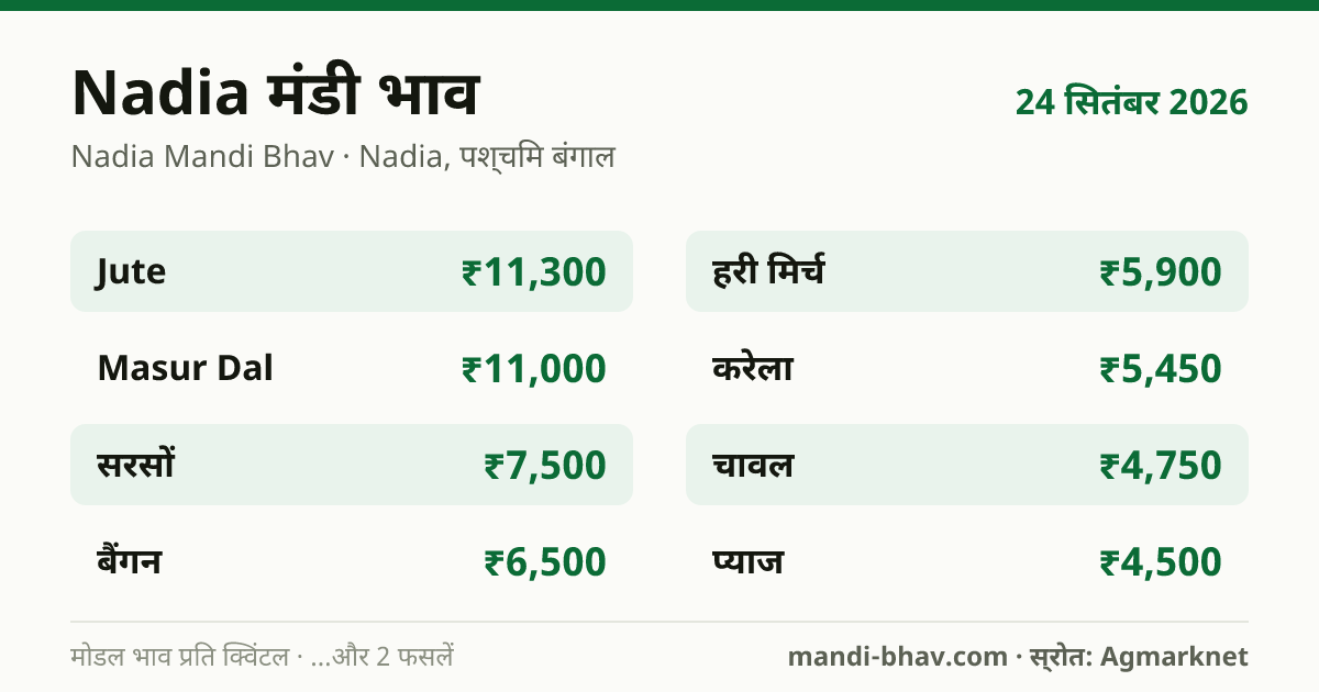 Nadia मंडी भाव 24 सितंबर 2026: फसलवार मोडल रेट प्रति क्विंटल
