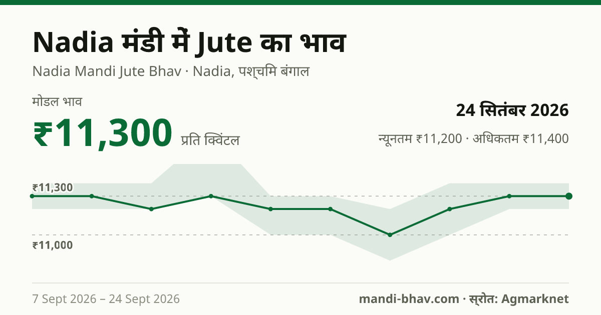 Nadia मंडी में Jute का भाव 24 सितंबर 2026: मोडल ₹11,300 प्रति क्विंटल, भाव के रुझान का चार्ट