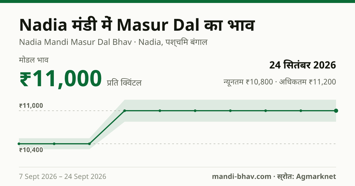 Nadia मंडी में Masur Dal का भाव 24 सितंबर 2026: मोडल ₹11,000 प्रति क्विंटल, भाव के रुझान का चार्ट
