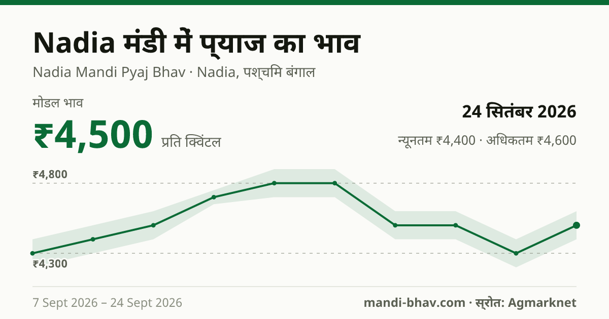 Nadia मंडी में प्याज का भाव 24 सितंबर 2026: मोडल ₹4,500 प्रति क्विंटल, भाव के रुझान का चार्ट