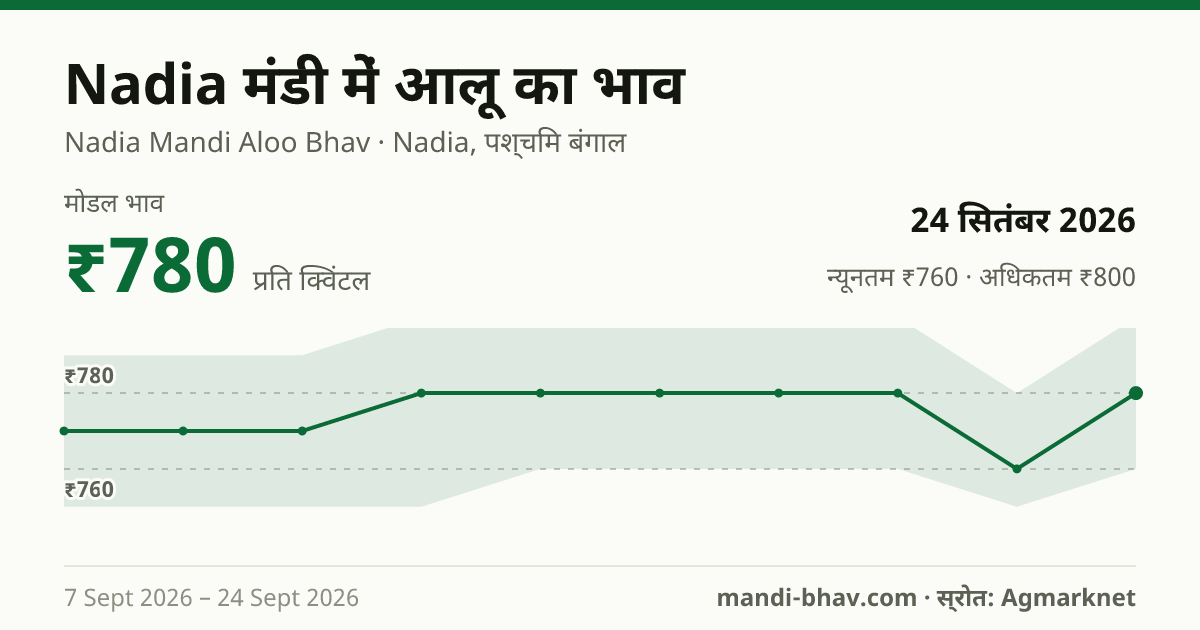 Nadia मंडी में आलू का भाव 24 सितंबर 2026: मोडल ₹780 प्रति क्विंटल, भाव के रुझान का चार्ट