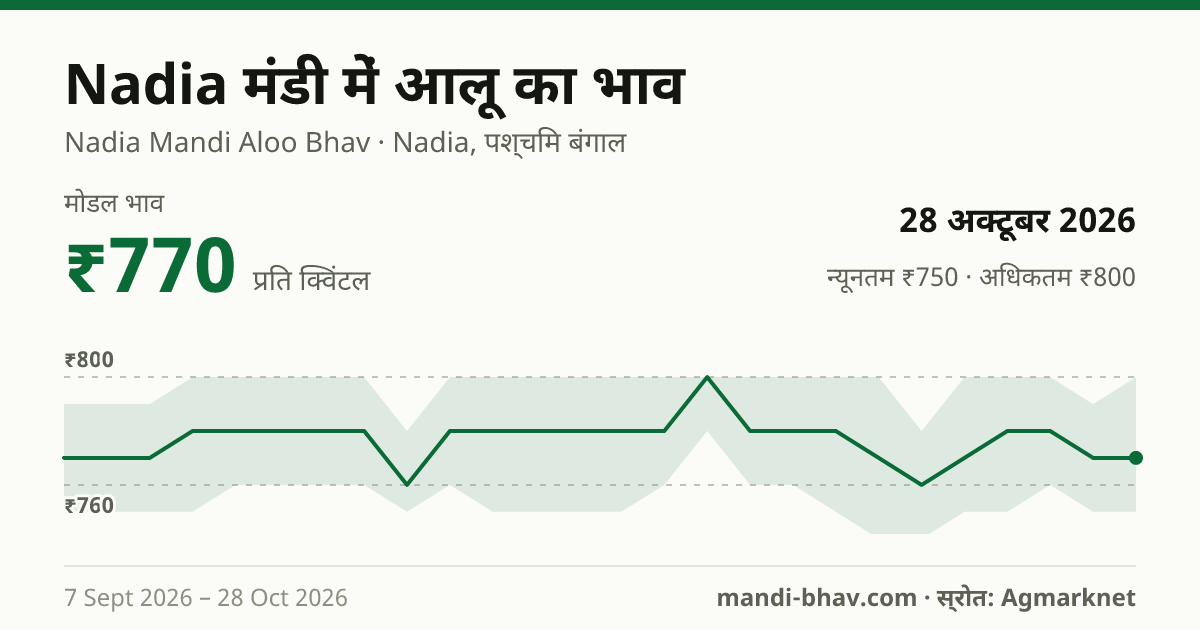 Nadia मंडी में आलू का भाव 28 अक्टूबर 2026: मोडल ₹770 प्रति क्विंटल, भाव के रुझान का चार्ट