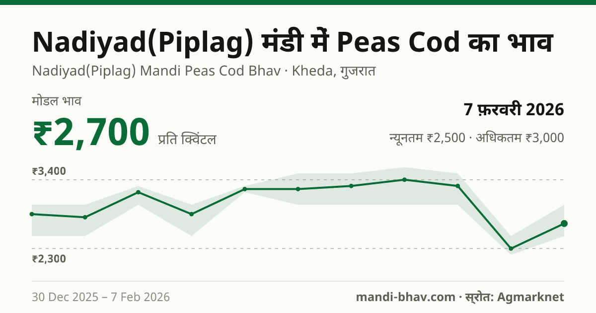 Nadiyad(Piplag) मंडी में Peas Cod का भाव 7 फ़रवरी 2026: मोडल ₹2,700 प्रति क्विंटल, भाव के रुझान का चार्ट