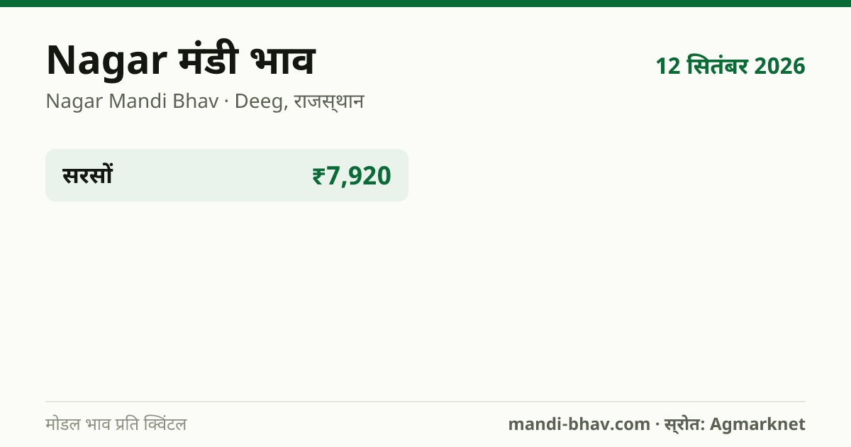 Nagar मंडी भाव 12 सितंबर 2026: फसलवार मोडल रेट प्रति क्विंटल
