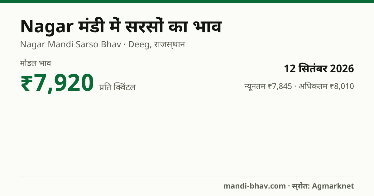 Nagar मंडी में सरसों का भाव 12 सितंबर 2026: मोडल ₹7,920 प्रति क्विंटल, भाव के रुझान का चार्ट