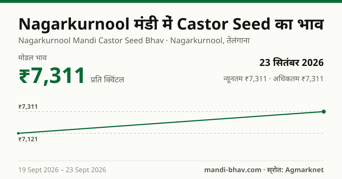 Nagarkurnool मंडी में Castor Seed का भाव 23 सितंबर 2026: मोडल ₹7,311 प्रति क्विंटल, भाव के रुझान का चार्ट