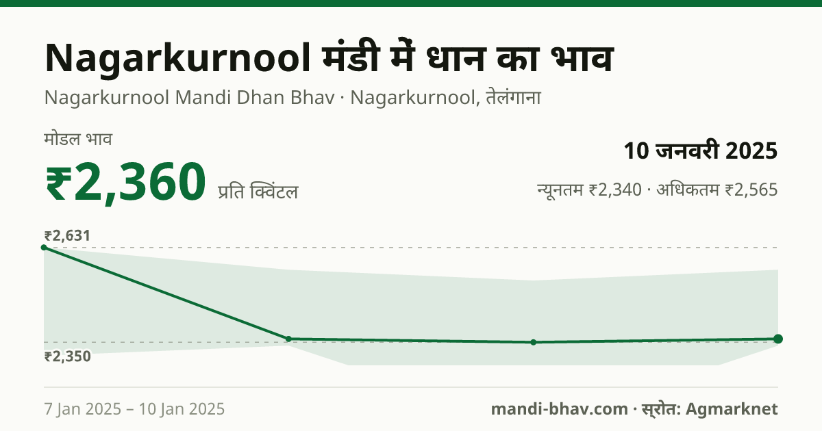 Nagarkurnool मंडी में धान का भाव 10 जनवरी 2025: मोडल ₹2,360 प्रति क्विंटल, भाव के रुझान का चार्ट