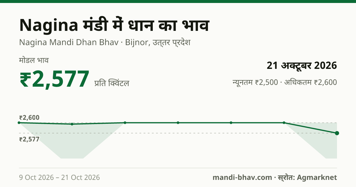 Nagina मंडी में धान का भाव 21 अक्टूबर 2026: मोडल ₹2,577 प्रति क्विंटल, भाव के रुझान का चार्ट