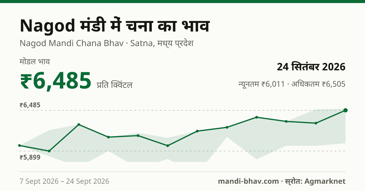 Nagod मंडी में चना का भाव 24 सितंबर 2026: मोडल ₹6,485 प्रति क्विंटल, भाव के रुझान का चार्ट
