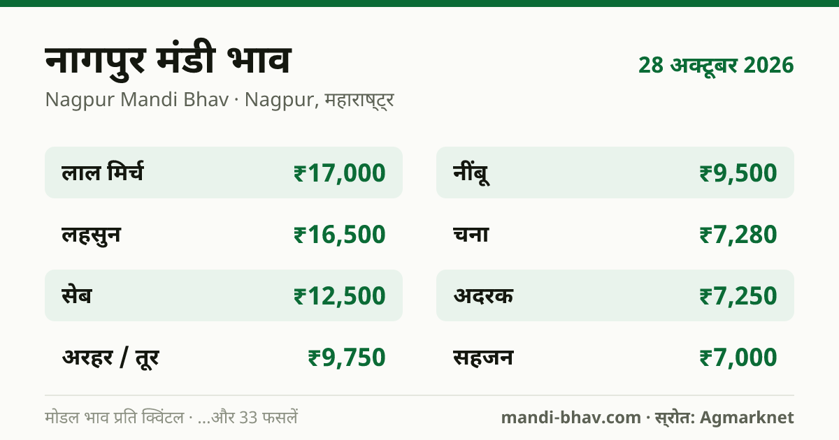 नागपुर मंडी भाव 28 अक्टूबर 2026: फसलवार मोडल रेट प्रति क्विंटल