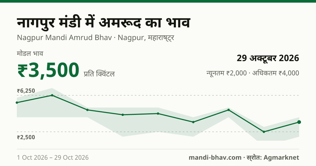 नागपुर मंडी में अमरूद का भाव 29 अक्टूबर 2026: मोडल ₹3,500 प्रति क्विंटल, भाव के रुझान का चार्ट