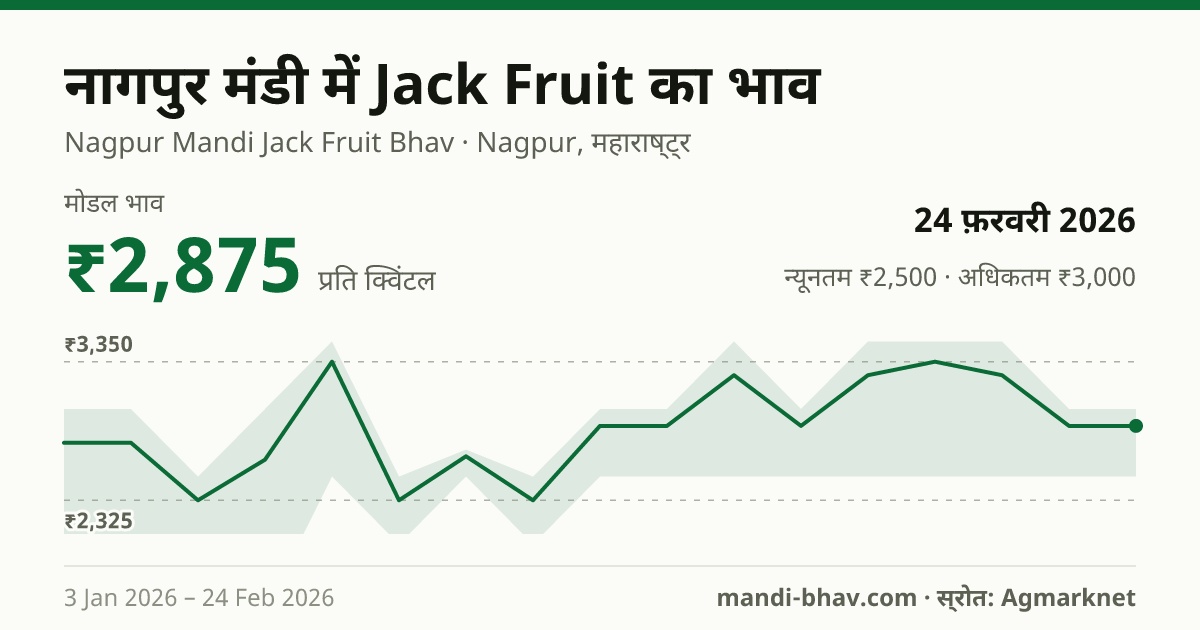 नागपुर मंडी में Jack Fruit का भाव 24 फ़रवरी 2026: मोडल ₹2,875 प्रति क्विंटल, भाव के रुझान का चार्ट