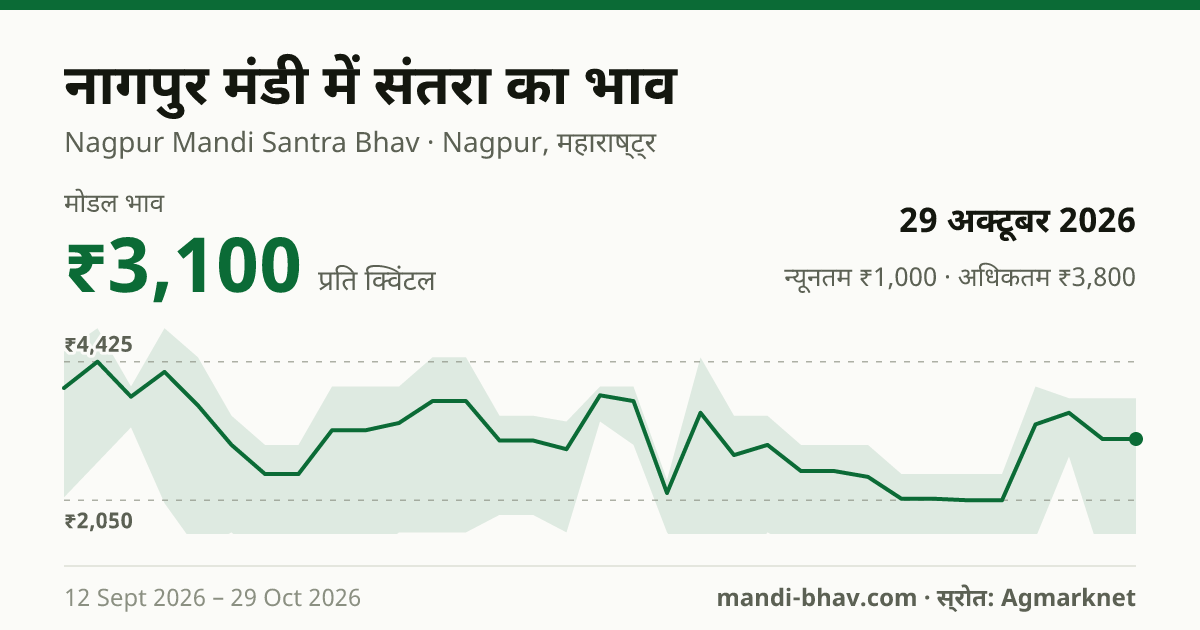 नागपुर मंडी में संतरा का भाव 29 अक्टूबर 2026: मोडल ₹3,100 प्रति क्विंटल, भाव के रुझान का चार्ट