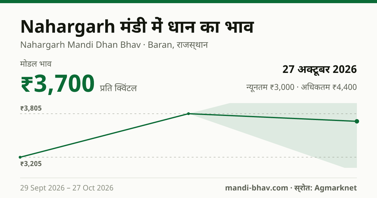 Nahargarh मंडी में धान का भाव 27 अक्टूबर 2026: मोडल ₹3,700 प्रति क्विंटल, भाव के रुझान का चार्ट