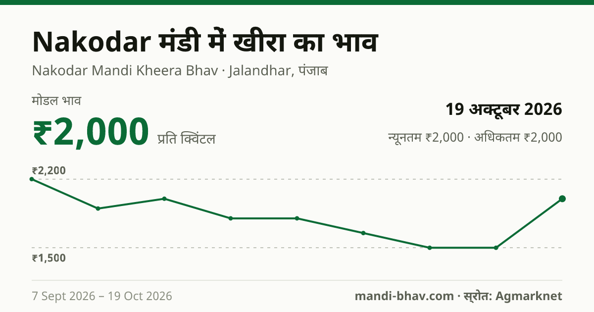 Nakodar मंडी में खीरा का भाव 19 अक्टूबर 2026: मोडल ₹2,000 प्रति क्विंटल, भाव के रुझान का चार्ट