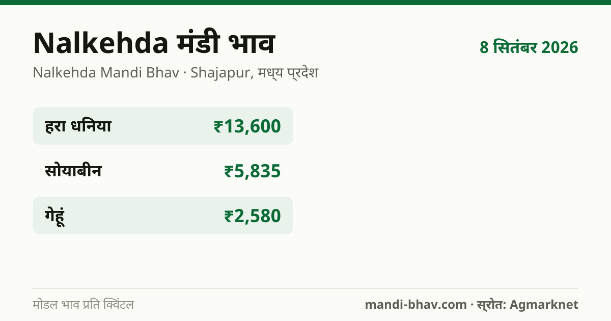 Nalkehda मंडी भाव 8 सितंबर 2026: फसलवार मोडल रेट प्रति क्विंटल