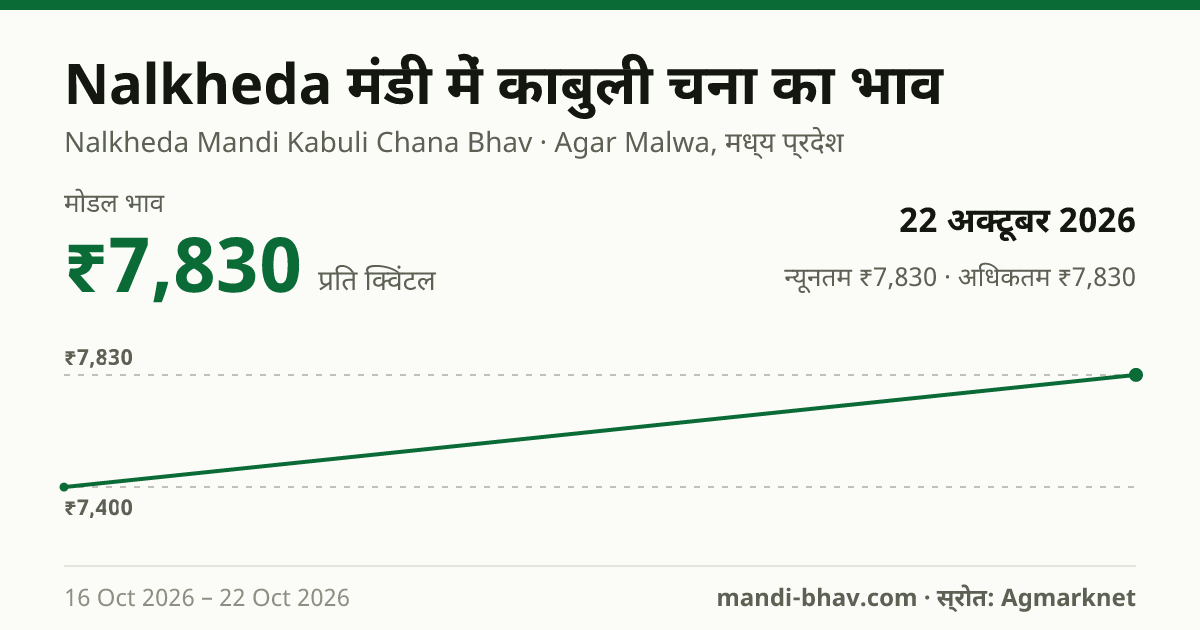 Nalkheda मंडी में काबुली चना का भाव 22 अक्टूबर 2026: मोडल ₹7,830 प्रति क्विंटल, भाव के रुझान का चार्ट