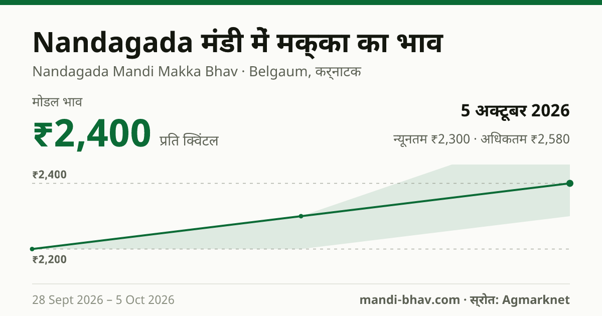 Nandagada मंडी में मक्का का भाव 5 अक्टूबर 2026: मोडल ₹2,400 प्रति क्विंटल, भाव के रुझान का चार्ट