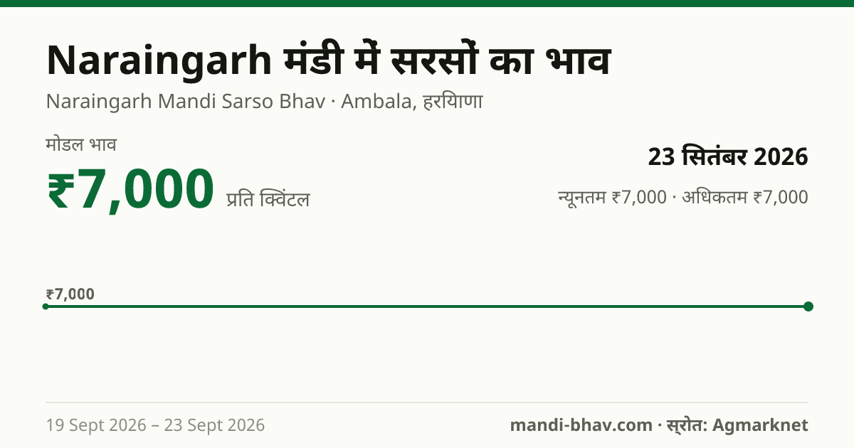 Naraingarh मंडी में सरसों का भाव 23 सितंबर 2026: मोडल ₹7,000 प्रति क्विंटल, भाव के रुझान का चार्ट