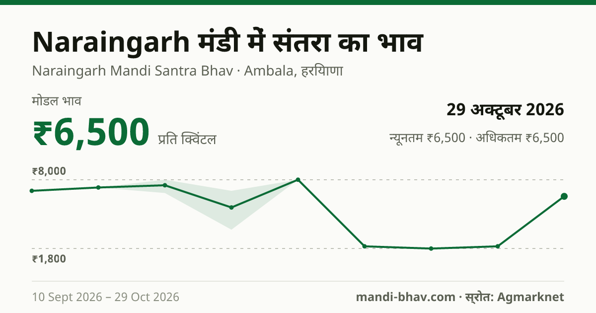 Naraingarh मंडी में संतरा का भाव 29 अक्टूबर 2026: मोडल ₹6,500 प्रति क्विंटल, भाव के रुझान का चार्ट
