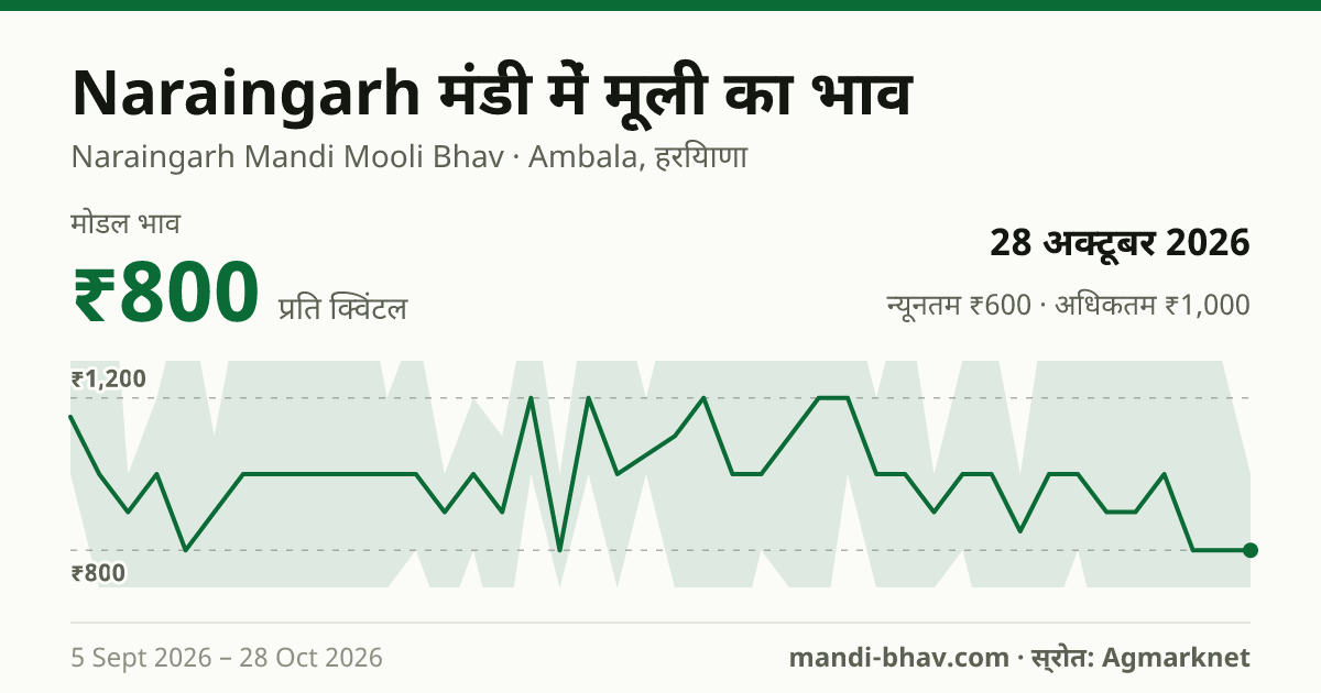 Naraingarh मंडी में मूली का भाव 28 अक्टूबर 2026: मोडल ₹800 प्रति क्विंटल, भाव के रुझान का चार्ट