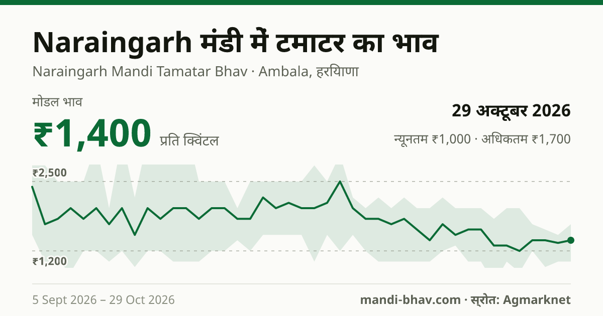Naraingarh मंडी में टमाटर का भाव 29 अक्टूबर 2026: मोडल ₹1,400 प्रति क्विंटल, भाव के रुझान का चार्ट