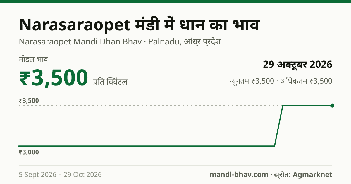 Narasaraopet मंडी में धान का भाव 29 अक्टूबर 2026: मोडल ₹3,500 प्रति क्विंटल, भाव के रुझान का चार्ट