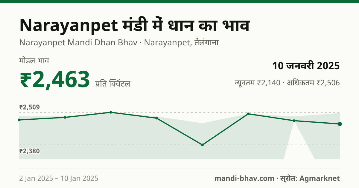 Narayanpet मंडी में धान का भाव 10 जनवरी 2025: मोडल ₹2,463 प्रति क्विंटल, भाव के रुझान का चार्ट