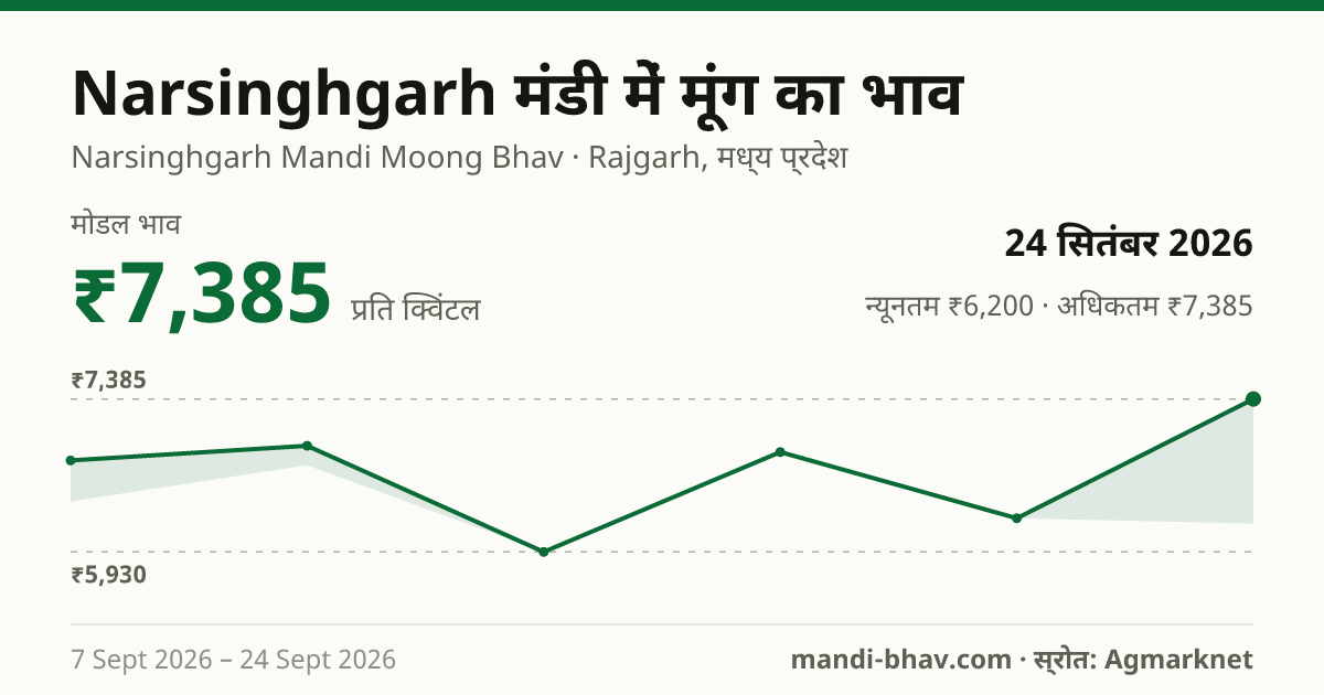 Narsinghgarh मंडी में मूंग का भाव 24 सितंबर 2026: मोडल ₹7,385 प्रति क्विंटल, भाव के रुझान का चार्ट