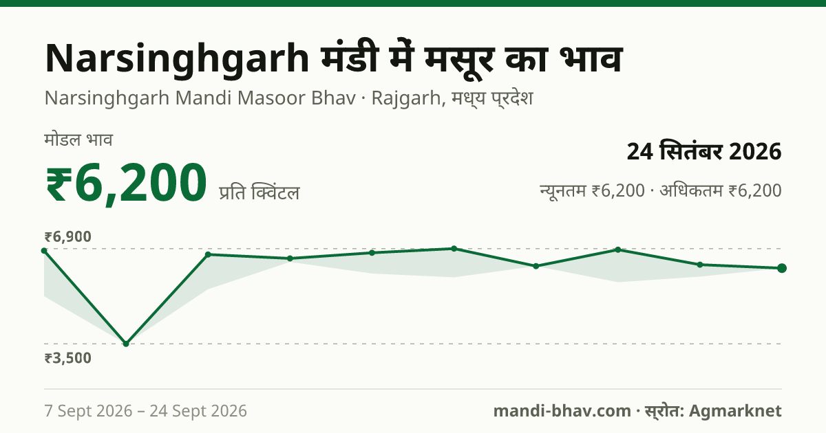 Narsinghgarh मंडी में मसूर का भाव 24 सितंबर 2026: मोडल ₹6,200 प्रति क्विंटल, भाव के रुझान का चार्ट
