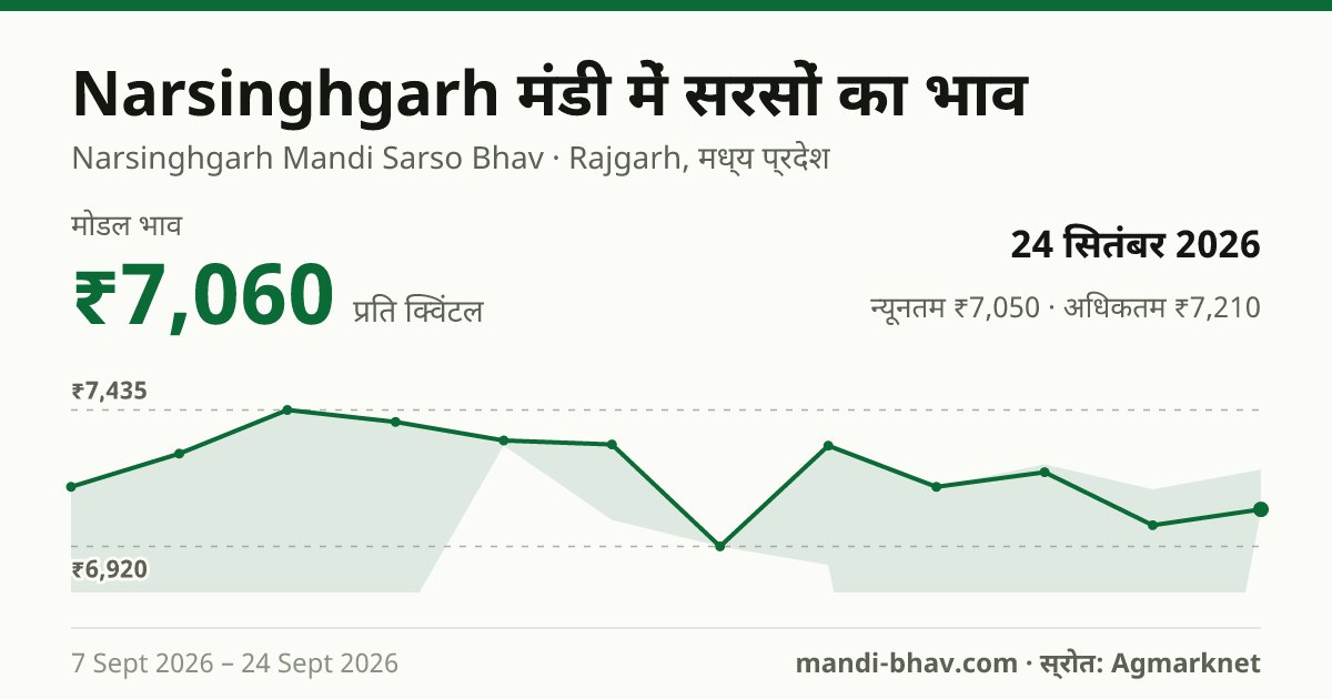 Narsinghgarh मंडी में सरसों का भाव 24 सितंबर 2026: मोडल ₹7,060 प्रति क्विंटल, भाव के रुझान का चार्ट