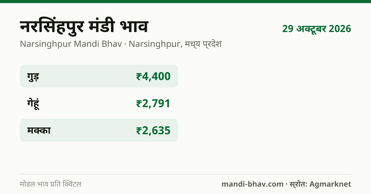नरसिंहपुर मंडी भाव 29 अक्टूबर 2026: फसलवार मोडल रेट प्रति क्विंटल