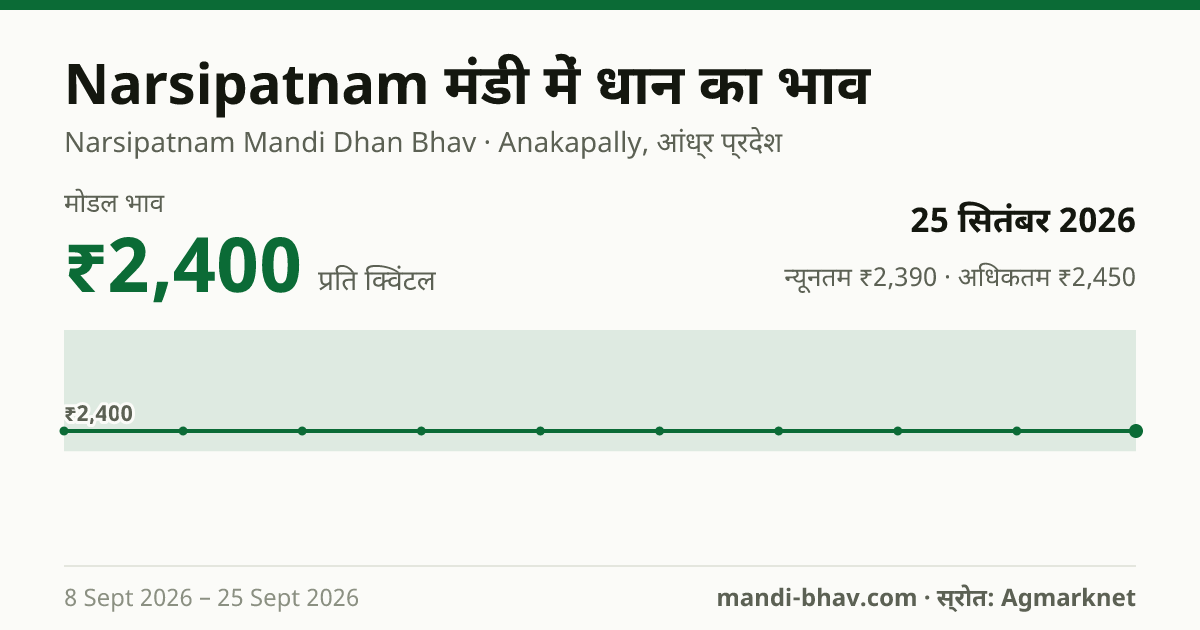 Narsipatnam मंडी में धान का भाव 25 सितंबर 2026: मोडल ₹2,400 प्रति क्विंटल, भाव के रुझान का चार्ट