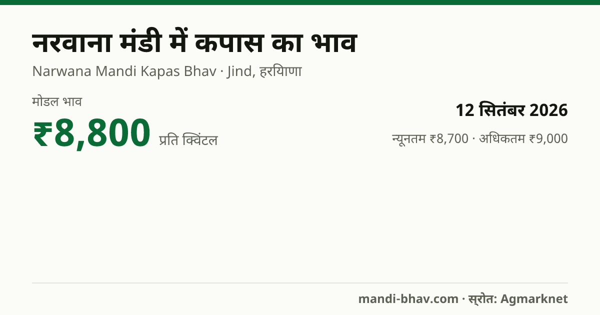 नरवाना मंडी में कपास का भाव 12 सितंबर 2026: मोडल ₹8,800 प्रति क्विंटल, भाव के रुझान का चार्ट