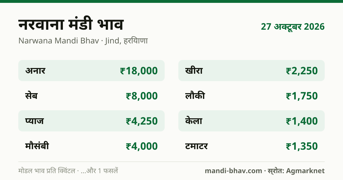 नरवाना मंडी भाव 27 अक्टूबर 2026: फसलवार मोडल रेट प्रति क्विंटल