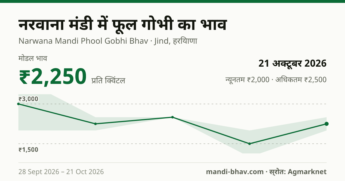 नरवाना मंडी में फूल गोभी का भाव 21 अक्टूबर 2026: मोडल ₹2,250 प्रति क्विंटल, भाव के रुझान का चार्ट