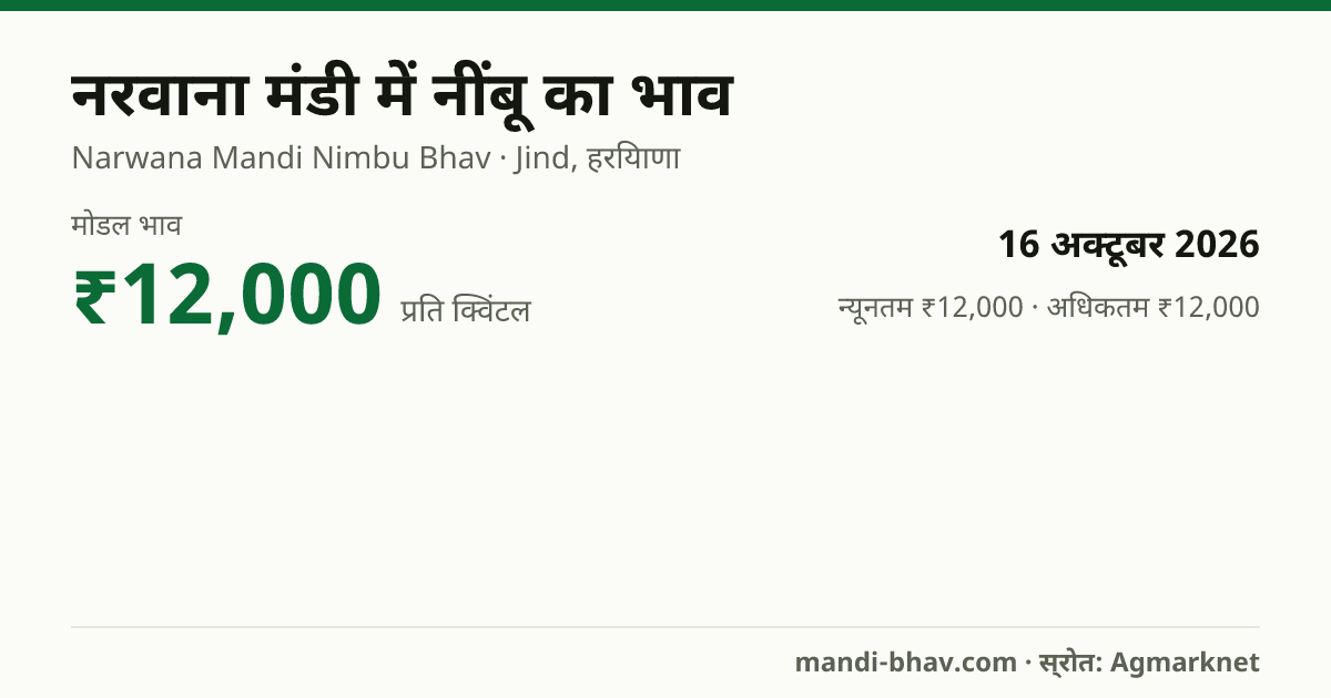 नरवाना मंडी में नींबू का भाव 16 अक्टूबर 2026: मोडल ₹12,000 प्रति क्विंटल, भाव के रुझान का चार्ट