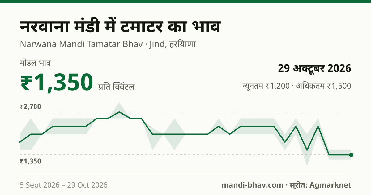नरवाना मंडी में टमाटर का भाव 29 अक्टूबर 2026: मोडल ₹1,350 प्रति क्विंटल, भाव के रुझान का चार्ट