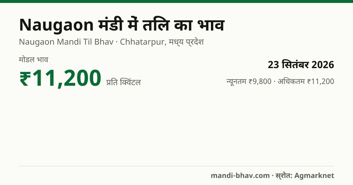 Naugaon मंडी में तिल का भाव 23 सितंबर 2026: मोडल ₹11,200 प्रति क्विंटल, भाव के रुझान का चार्ट