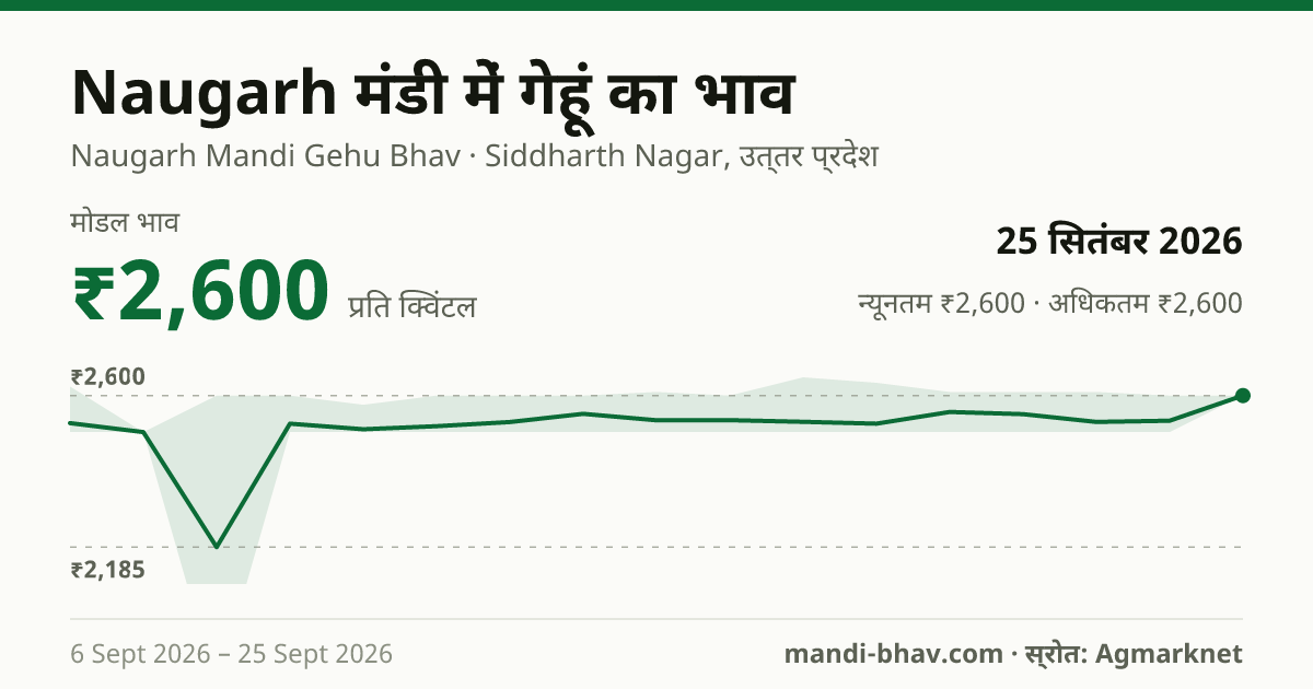 Naugarh मंडी में गेहूं का भाव 25 सितंबर 2026: मोडल ₹2,600 प्रति क्विंटल, भाव के रुझान का चार्ट