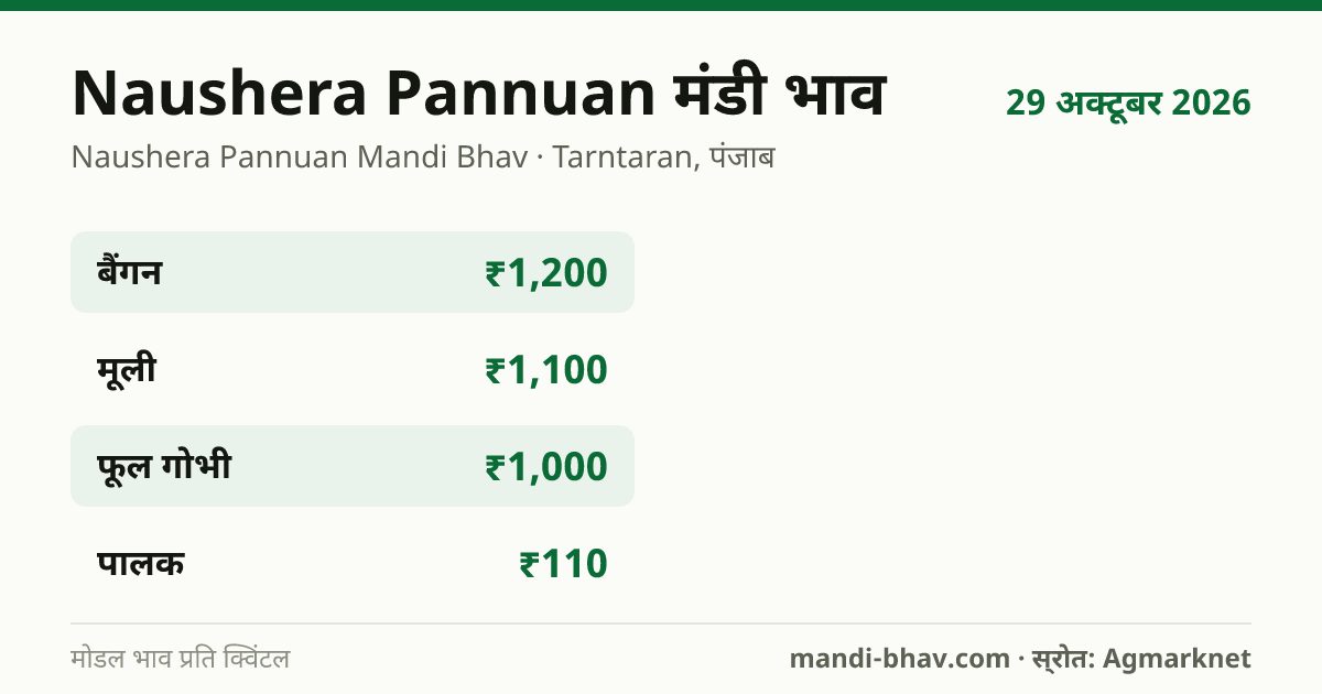 Naushera Pannuan मंडी भाव 29 अक्टूबर 2026: फसलवार मोडल रेट प्रति क्विंटल
