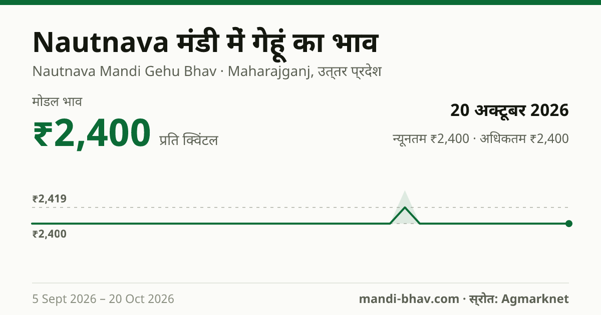 Nautnava मंडी में गेहूं का भाव 20 अक्टूबर 2026: मोडल ₹2,400 प्रति क्विंटल, भाव के रुझान का चार्ट