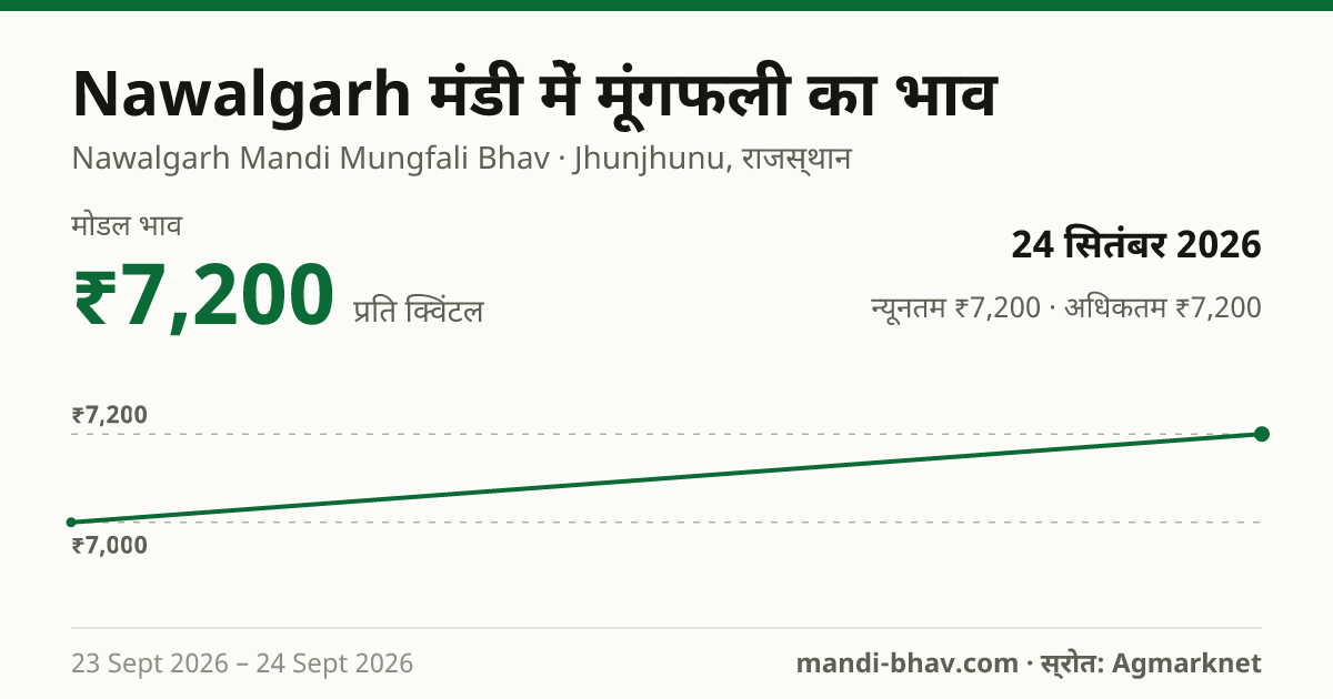Nawalgarh मंडी में मूंगफली का भाव 24 सितंबर 2026: मोडल ₹7,200 प्रति क्विंटल, भाव के रुझान का चार्ट