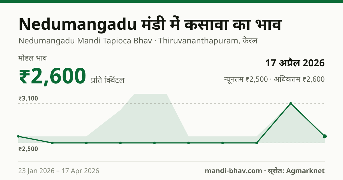 Nedumangadu मंडी में कसावा का भाव 17 अप्रैल 2026: मोडल ₹2,600 प्रति क्विंटल, भाव के रुझान का चार्ट