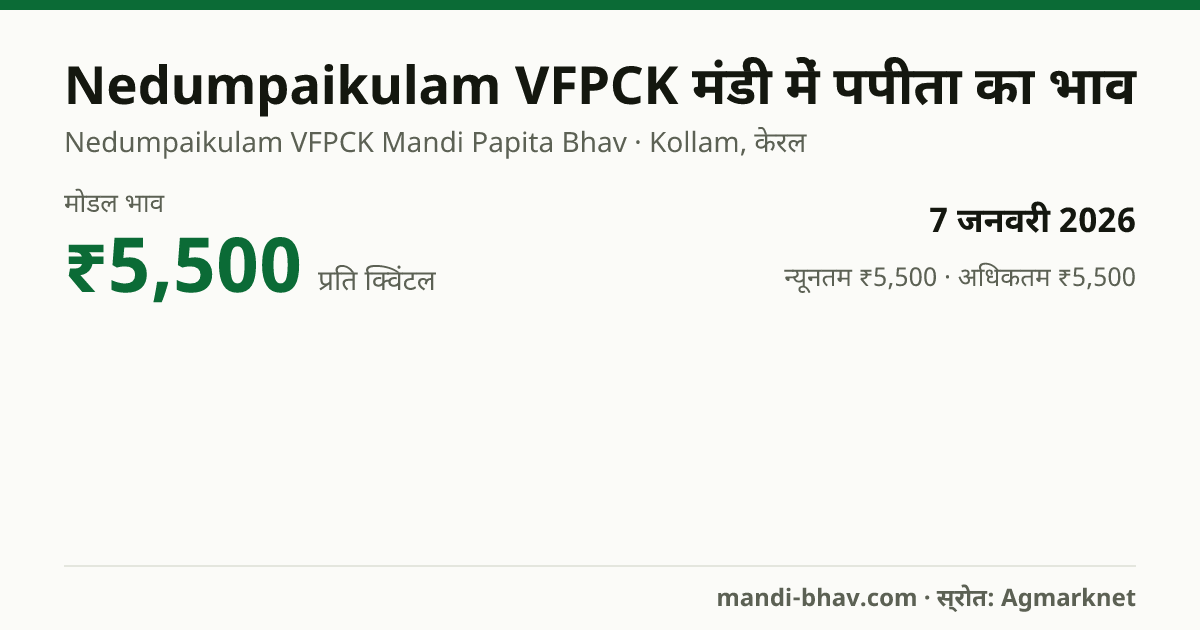 Nedumpaikulam VFPCK मंडी में पपीता का भाव 7 जनवरी 2026: मोडल ₹5,500 प्रति क्विंटल, भाव के रुझान का चार्ट